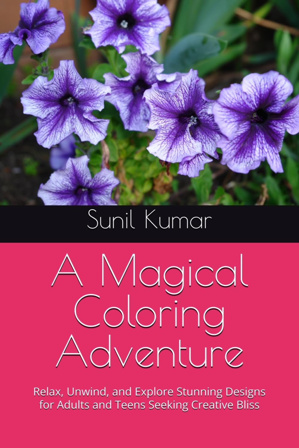 

A Magical Coloring Adventure: Relax, Unwind, and Explore Stunning Designs for Adults and Teens Seeking Creative Bliss (Independently published)