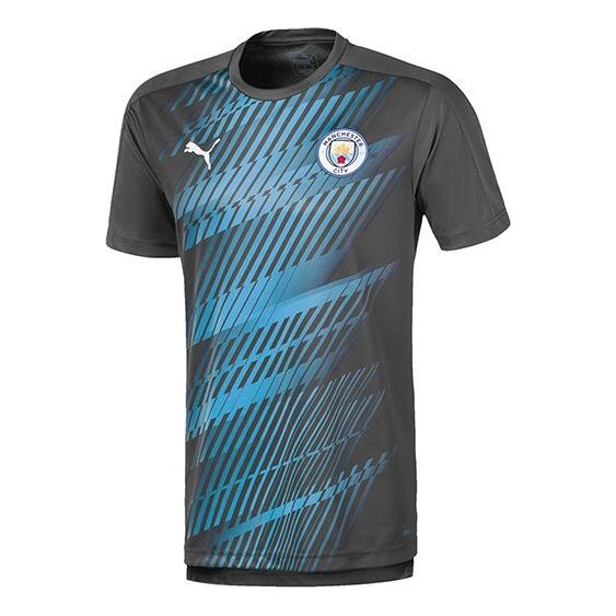 

Футболка league 19-20 t-shirt 'blue' Puma, синий