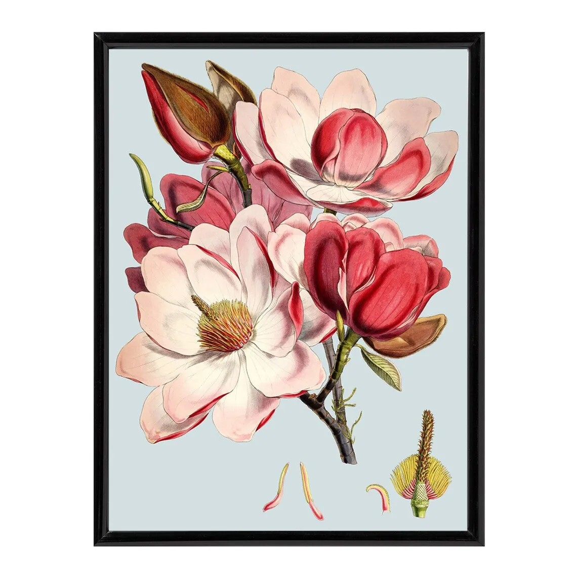 

Lam Peonies Flowers PSTR Studio Print + Frame - El Corte Inglés