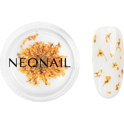 

Сухоцветы для ногтей NEONAIL - Оранжевые, 1 шт Néonail