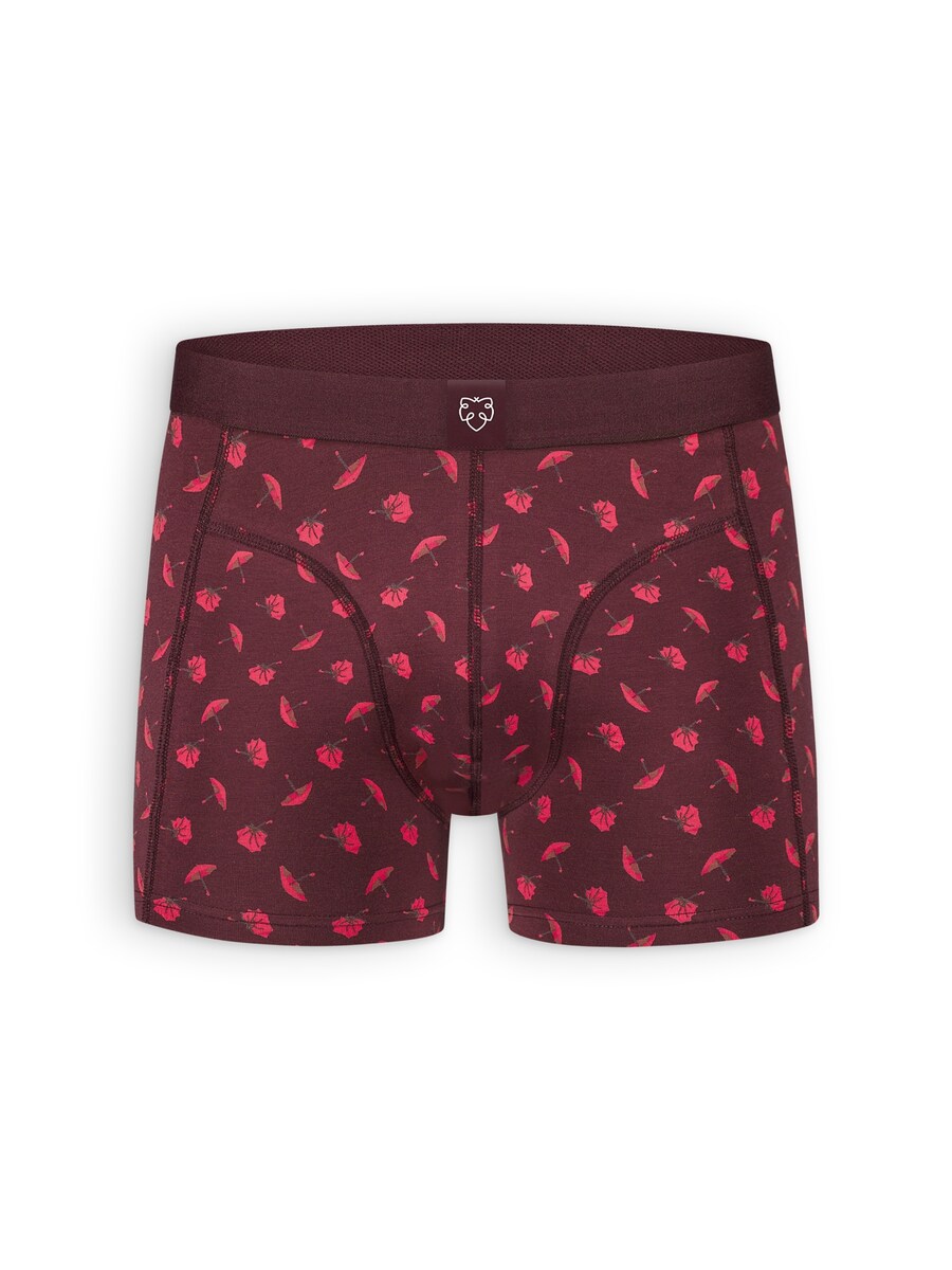 

Боксеры A-dam UMBRELLA, цвет Burgundy/Melon