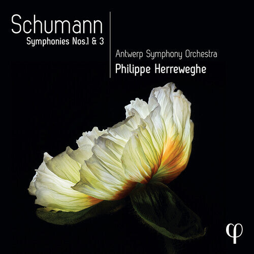 

CD диск Schumann / Herreweghe / Antwerp Symphony Orch: Symphonies Nos. 1 & 3