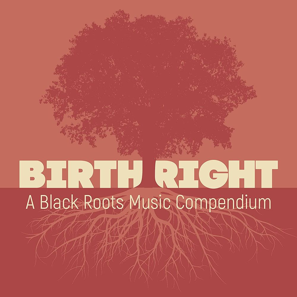 

Диск CD Birthright: A Black Roots Music Compendium - Various Artists