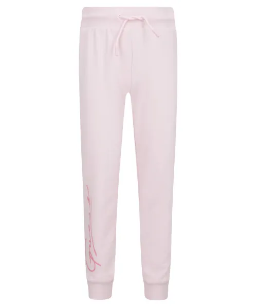 

Спортивные штаны Regular fit Guess Active, розовый