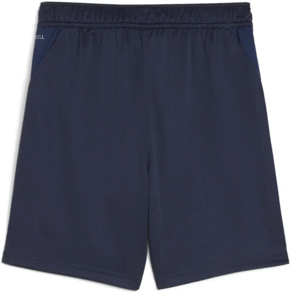 Спортивные шорты TeamGoal Training Short Jr, Puma, синий — фото 2