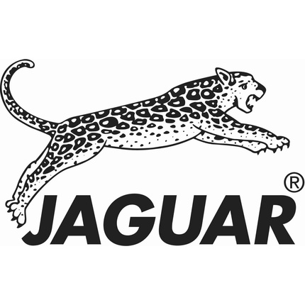 Парикмахерские ножницы Silver Line CJ4 Plus длиной 6,5 дюймов 0,03503 кг Jaguar — фото 3