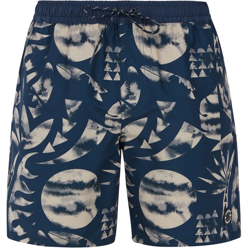 

Плавки-Шорты prtadmer Protest, синий