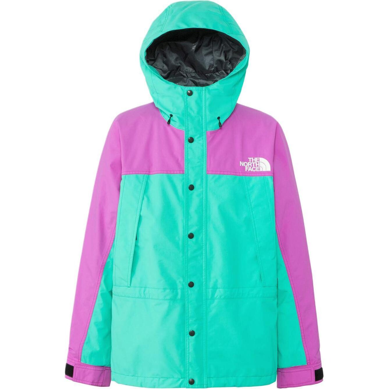 

Коллекция одежды Куртка мужская многоцветная The North Face, цвет Multicolor