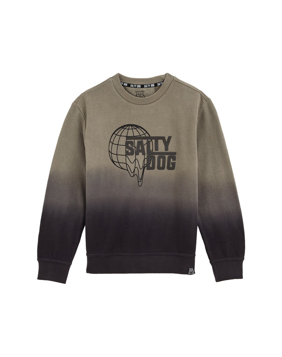 

Толстовка WE Fashion, цвет Green/Olive/Dark green
