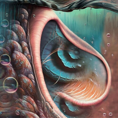 

Виниловая пластинка Meddle Reimagined - a Tribute to Pink Floyd / Var: Meddle Reimagined - A Tribute To Pink Floyd (Various Artists)