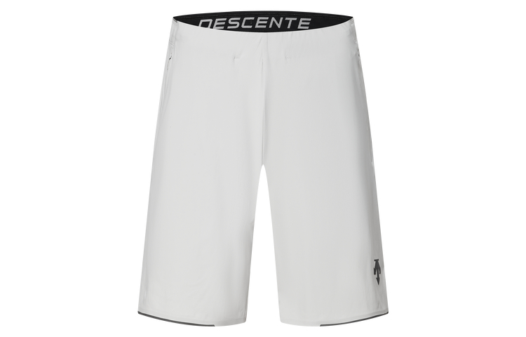

Спортивные шорты для тренировок men's DESCENTE, светло-серый