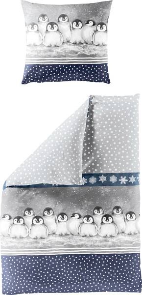 

Комплект постельного белья Bierbaum 207488 2-teilig, 135x1x200 см цвет blau-silber