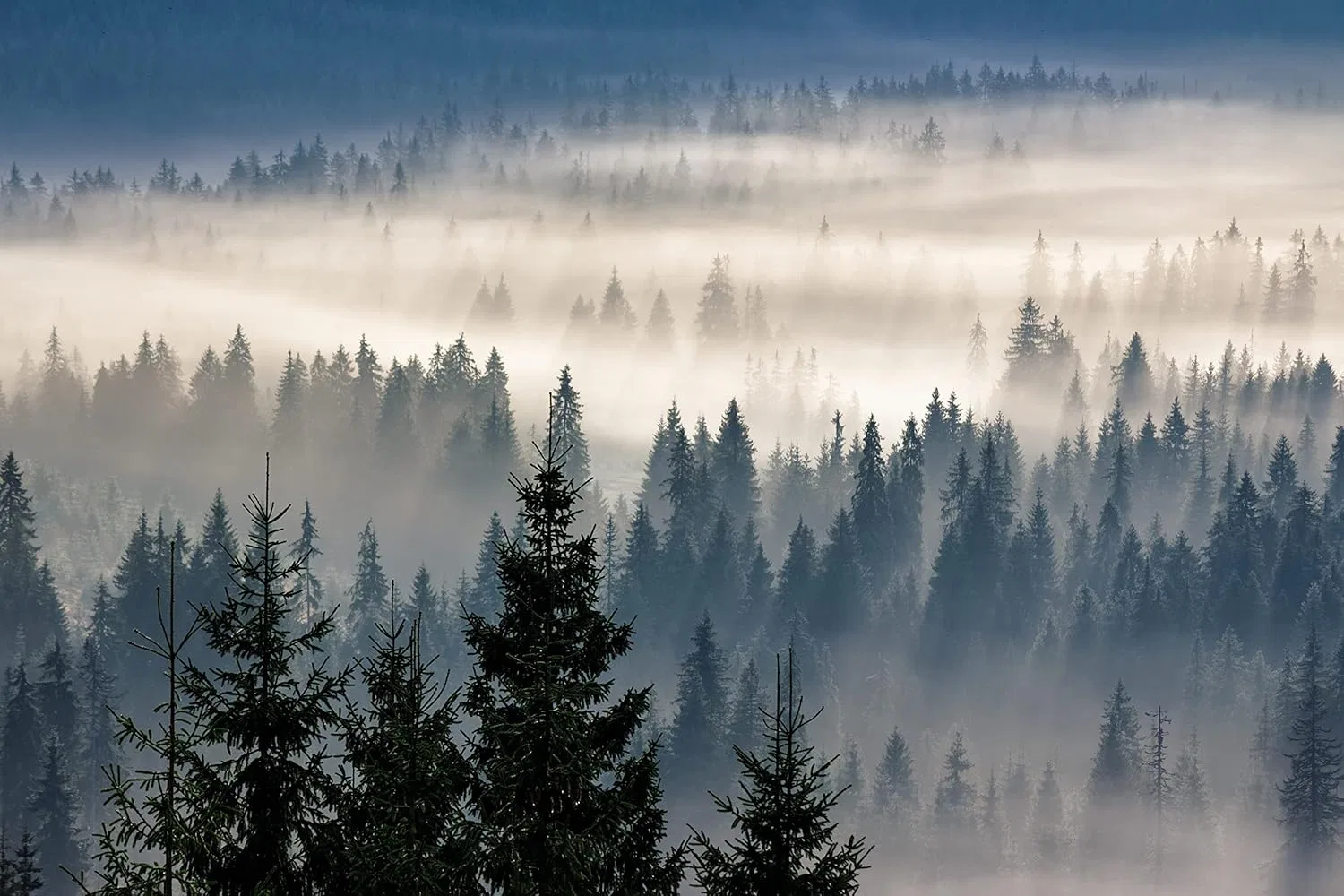 Веганское натуральное мыло Greendoor с мыльным орехом Greendoor — фото 2