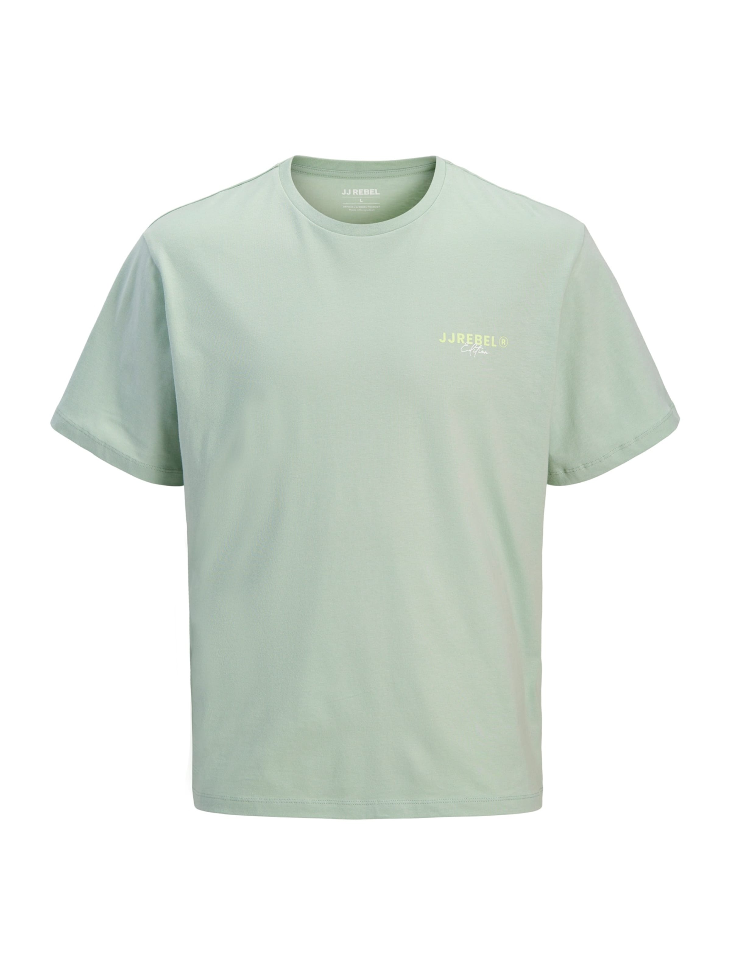 

JJ Rebel Футболка 'JREBHAYDEN' в цвете пастельный зеленый, светло-зеленый