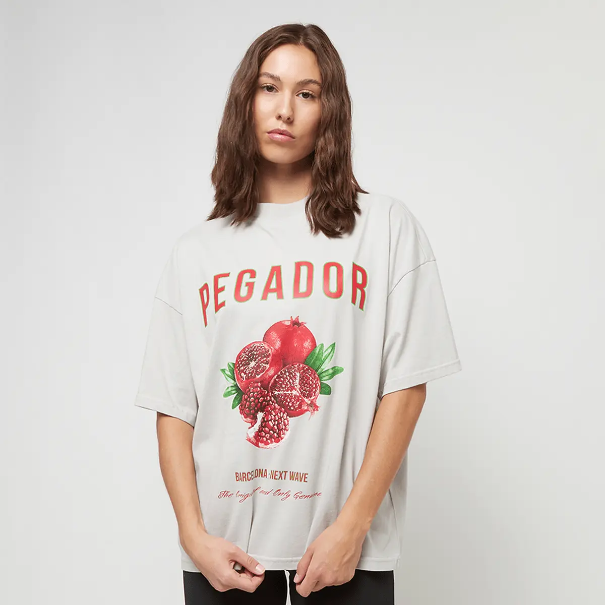 

Футболка Pegador Balari Heavy Oversized Tee, серый/разноцветный
