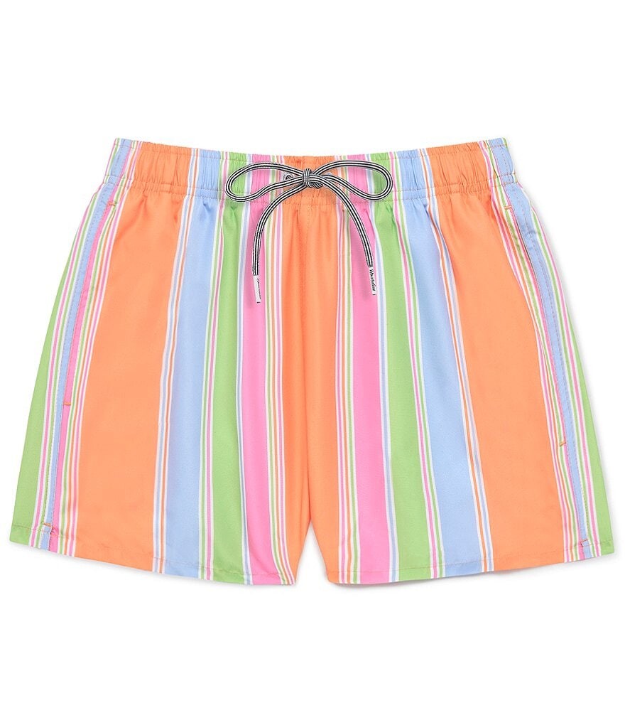 

Борди Citrus Stripe 4,5Плавки с внутренним швом Boardies, мультиколор