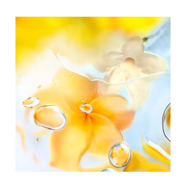 Парфюмерная вода для женщин LANCOME Ô Zenith 100 мл — фото 4