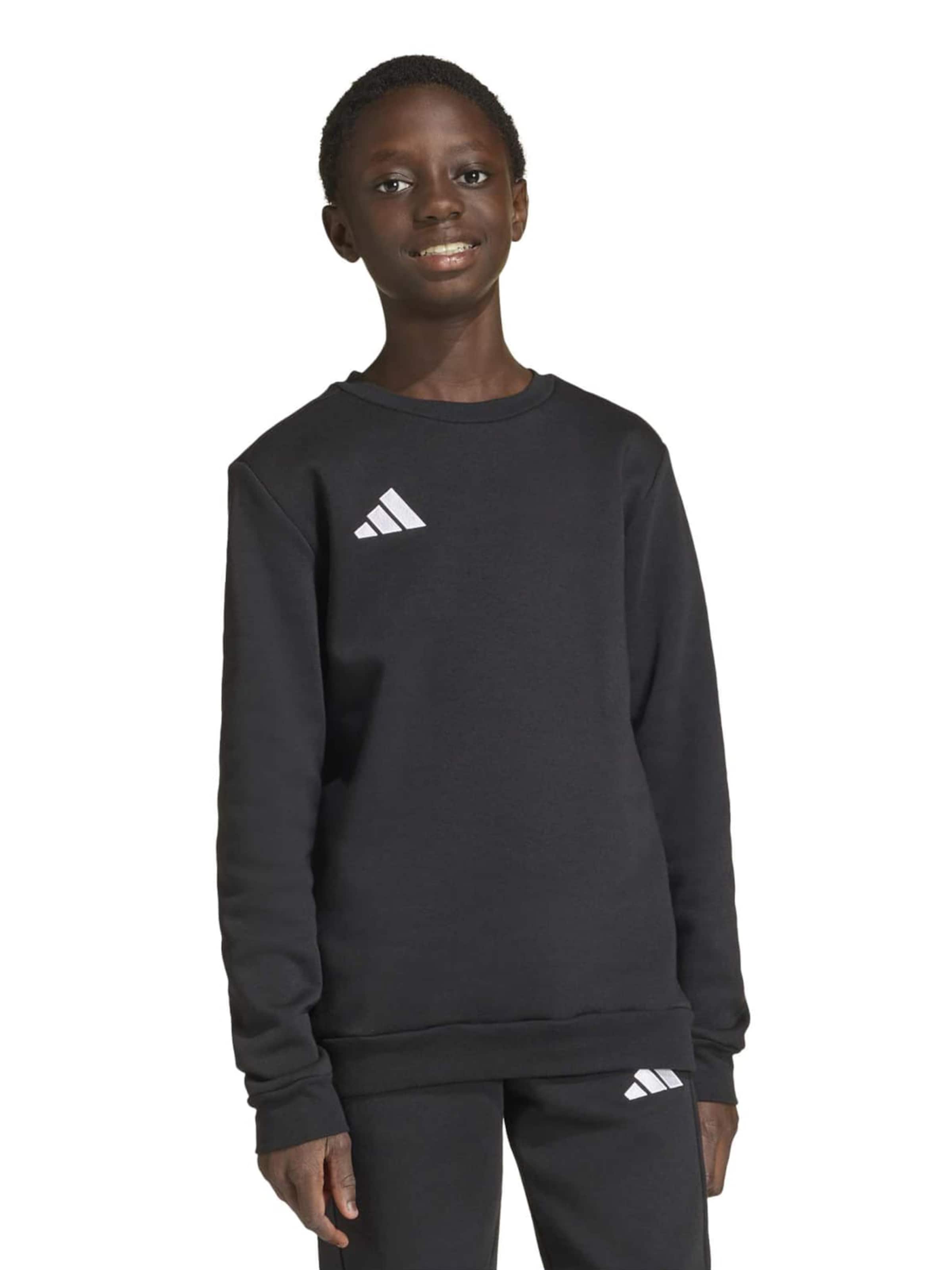 Adidas Performance Спортивная толстовка 'ENT26' в черном цвете — фото 2