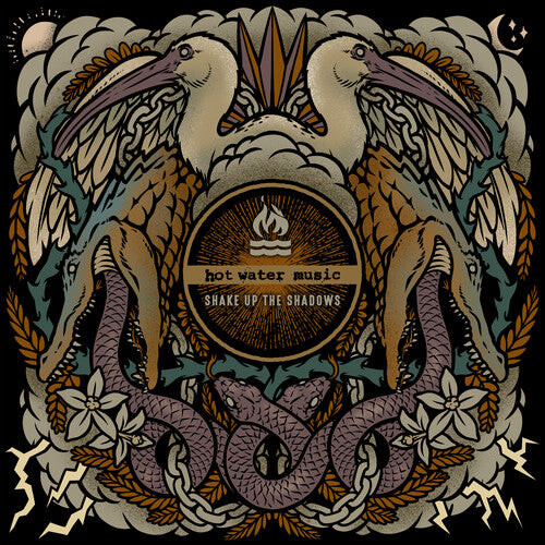

Виниловая пластинка Hot Water Music: Shake Up The Shadows