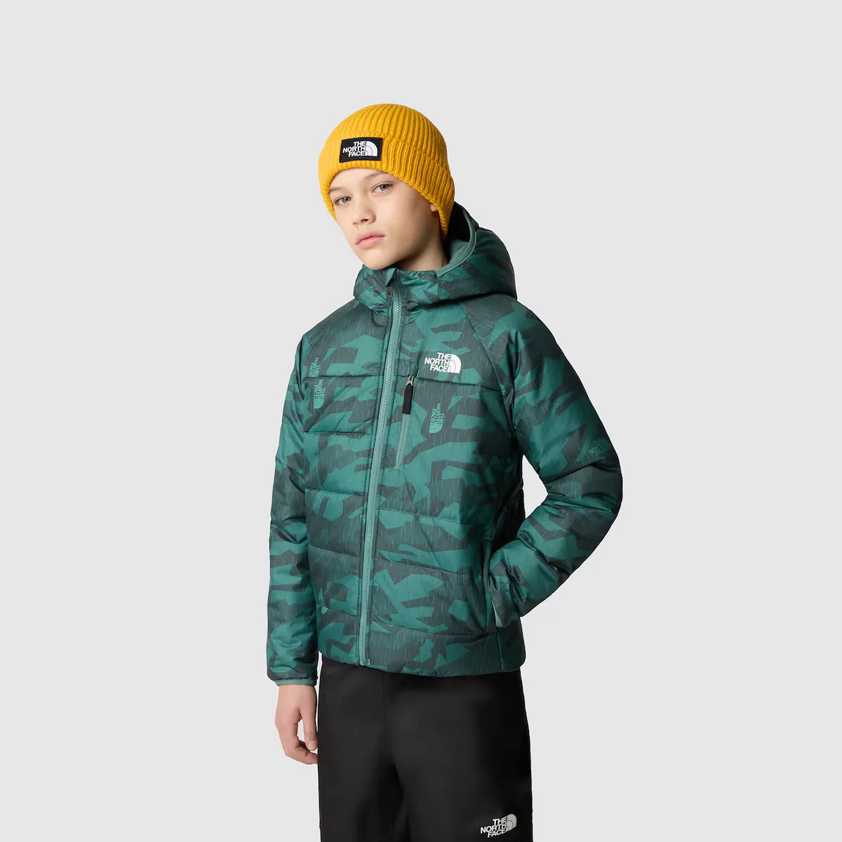

Детская куртка REVERSIBLE PUPPY The North Face, зеленый
