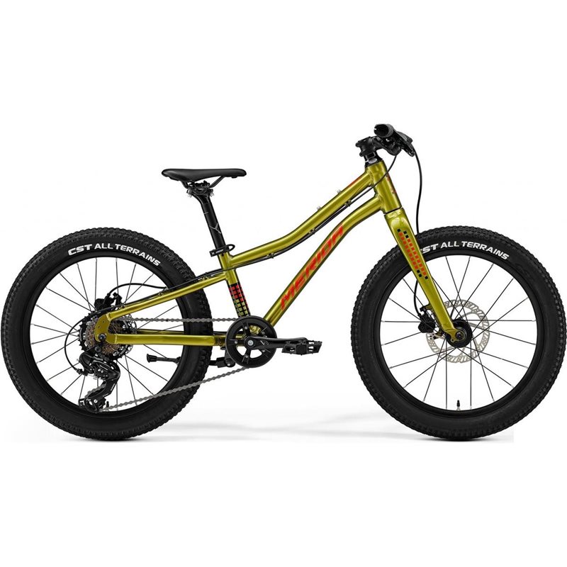 

Детский велосипед Merida Matts J.20+ Fall, зеленый/красный