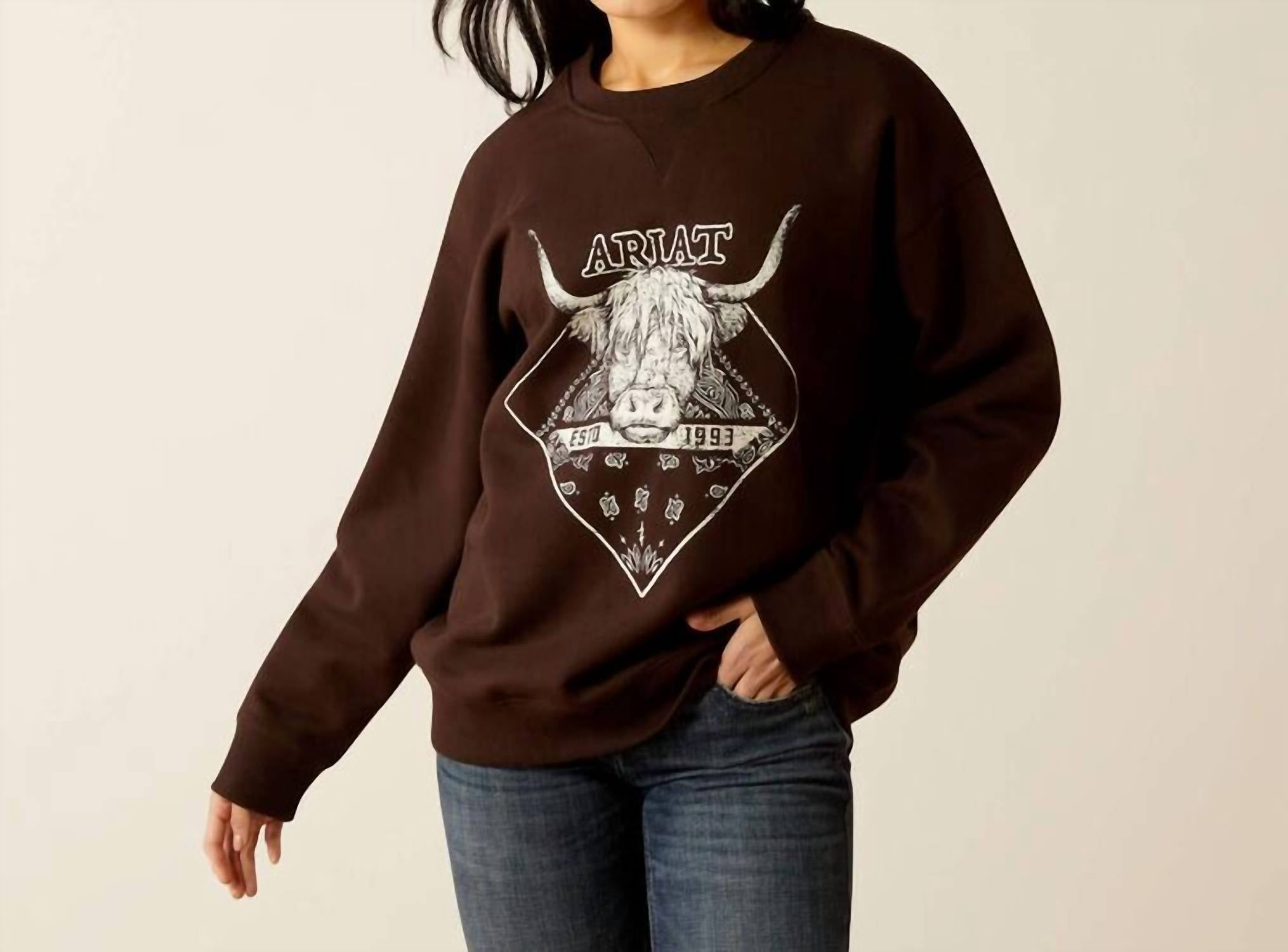 

Толстовка Taurus Oversized Crew в цвете Mole ARIAT