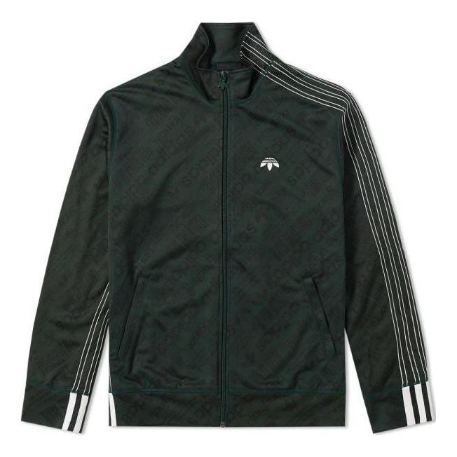 

Куртка adidas Jacquard Track Jacket x Alexander Wang CG1998, зеленый