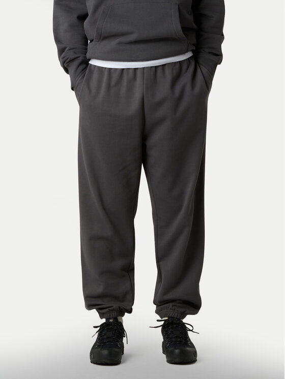 

Спортивные брюки relaxed fit Expedition Celebration NF0A8E3E The North Face, серый