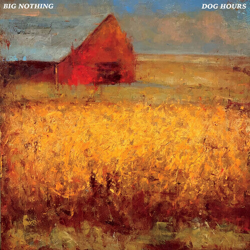 

Виниловая пластинка Big Nothing: Dog Hours (transparent Blue)