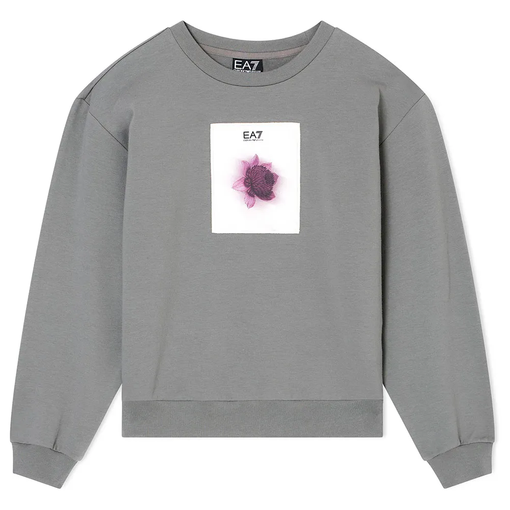 

Толстовка EA7 EMPORIO ARMANI Train Logo Series Graphic, серый