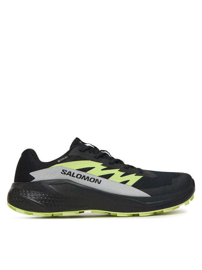 

Беговые кроссовки Alphaglide GORE-TEX L47802000 Salomon, черный