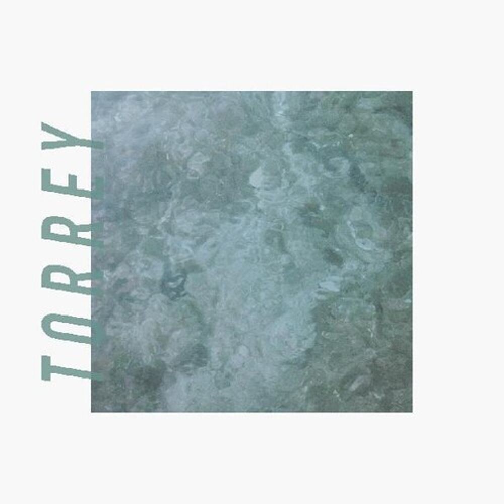 

Диск CD Torrey - Torrey