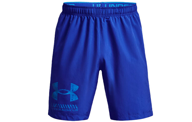

Мужские повседневные шорты Under Armour, цвет Blue