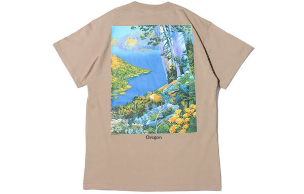 Футболка Nike ACG Crater Lake Sports Printing Pattern Round Neck Short Sleeve Khaki, хаки — фото 2