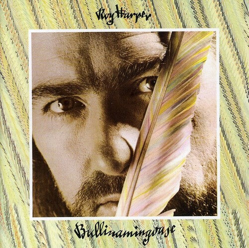 

Виниловая пластинка Harper, Roy: Bullinamingvase