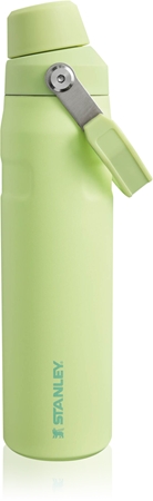 

Бутылка для воды из нержавеющей стали Stanley IceFlow Fast Flow Lid Bottle, Citron 600 ml