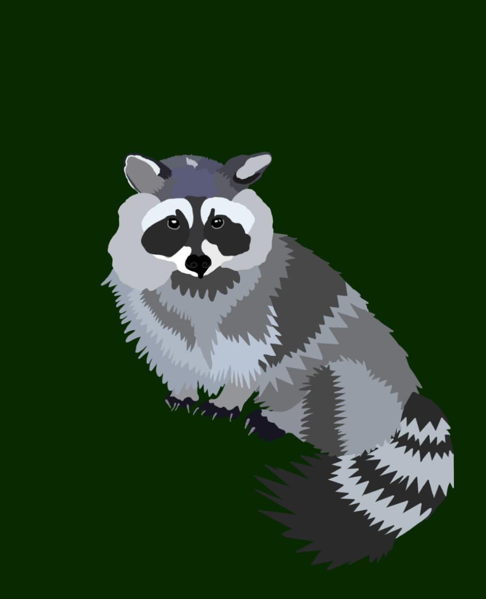 

Raccoon Cover Blank Notebook: Journal (Independently published)