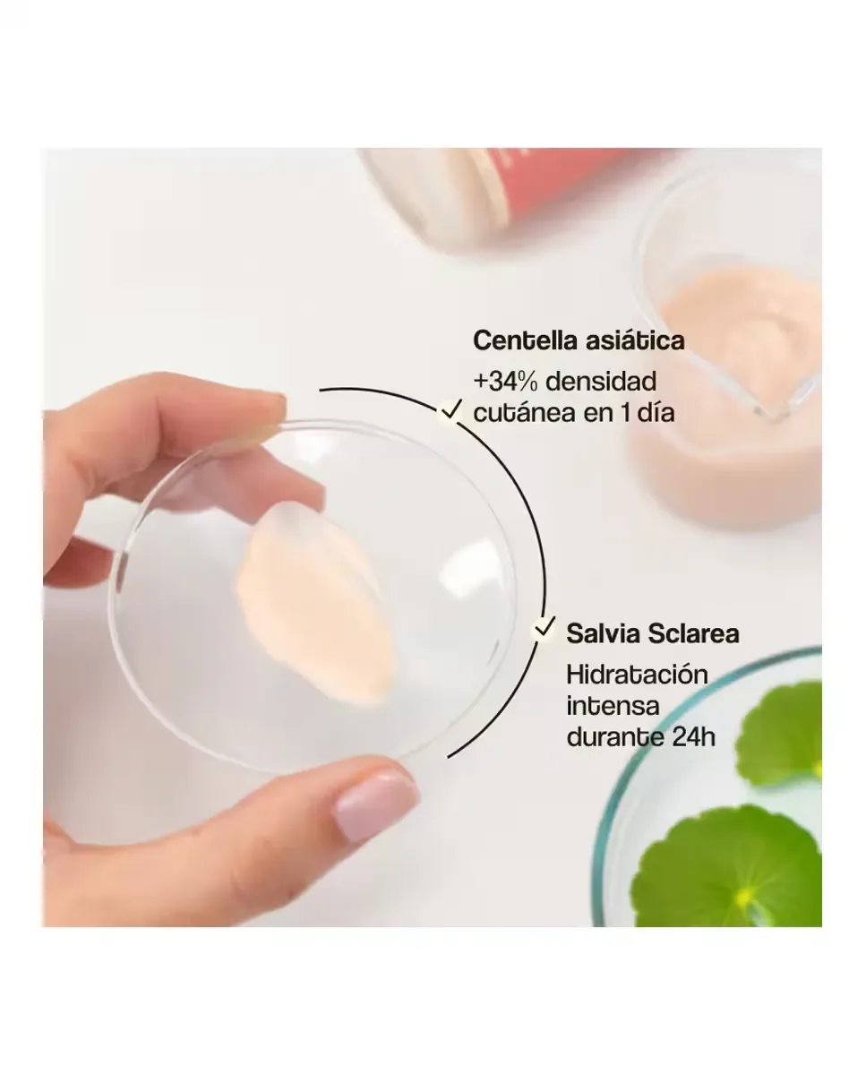 Крем для лица Freshly Cosmetics — Blossom Cica Calm Увлажняющий, 50 мл — фото 4