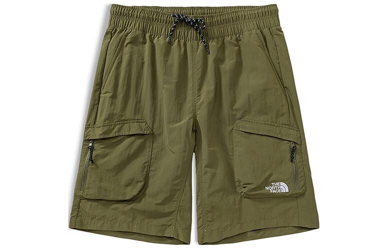 

Повседневные шорты мужские зеленые The North Face, зеленый