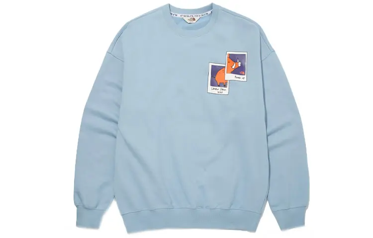 

Толстовка унисекс THE NORTH FACE, цвет Blue
