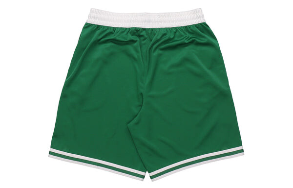 Шорты boston celtics icon edition swingman sw fan edition celtics team limited баскетбольные шорты Nike, зеленый — фото 2