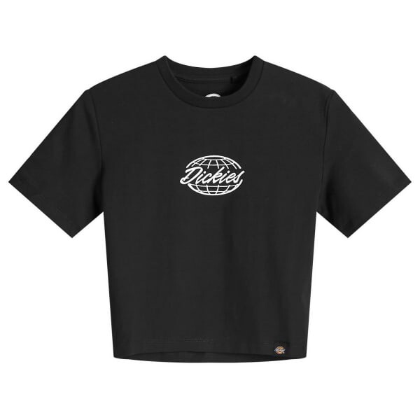 

Футболка с изображением глобуса Dickies, черный