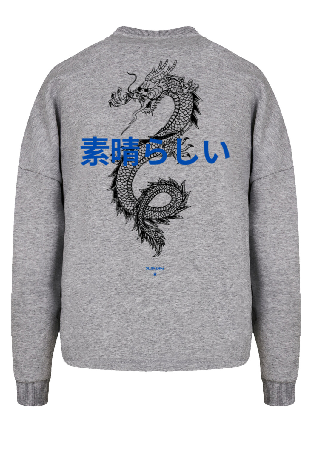 

Толстовка F4NT4STIC Oversize Dragon, цвет grau meliert