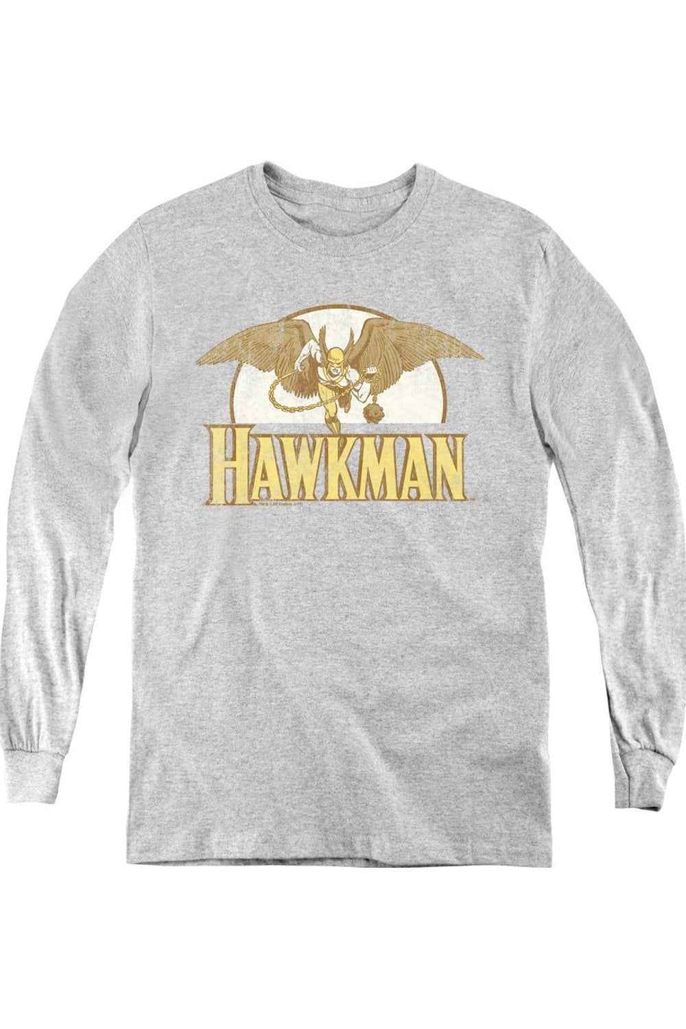 

Футболка с длинным рукавом DC Comics Fly By Youth Gildan, Athletic Heather