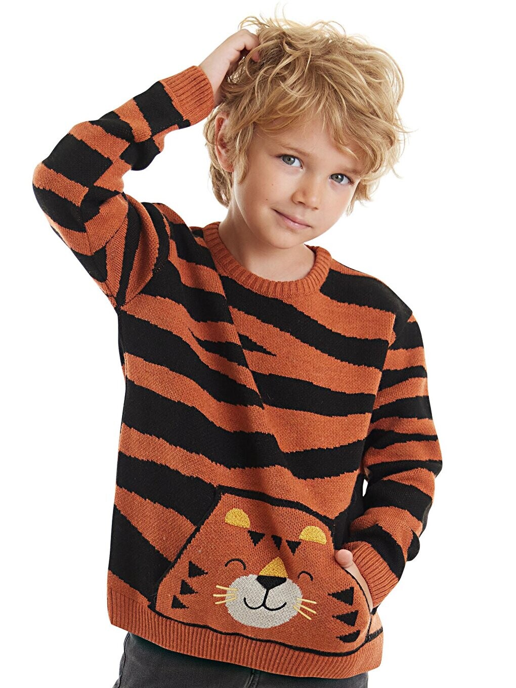 

Коричневый свитер для мальчика Tiger Boy Denokids