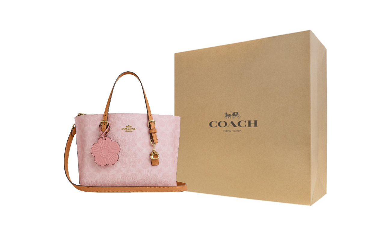 

Сумка через плечо Valentine's Day Limited Edition Mollie из искусственной кожи, средний размер, женская COACH, gift box set (basic set+желтый box)