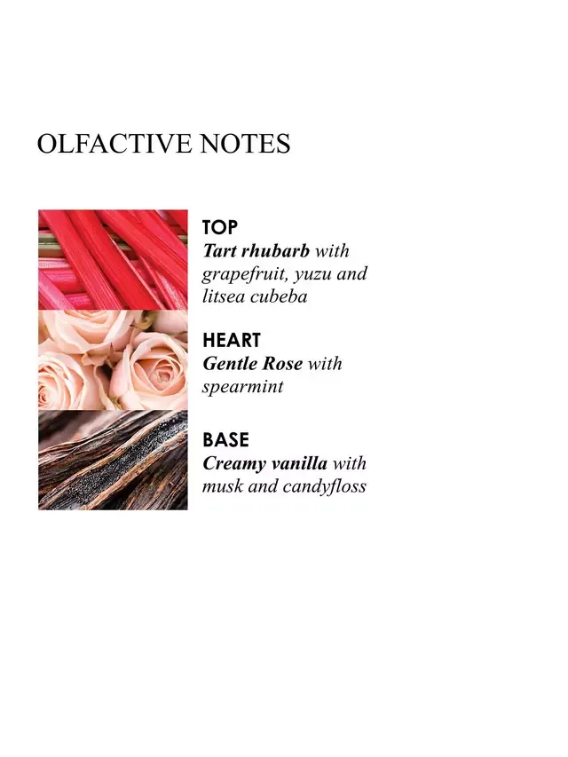 Жидкое мыло для рук Delicious Rhubarb & Rose, сменный блок, 400 мл Molton Brown — фото 2