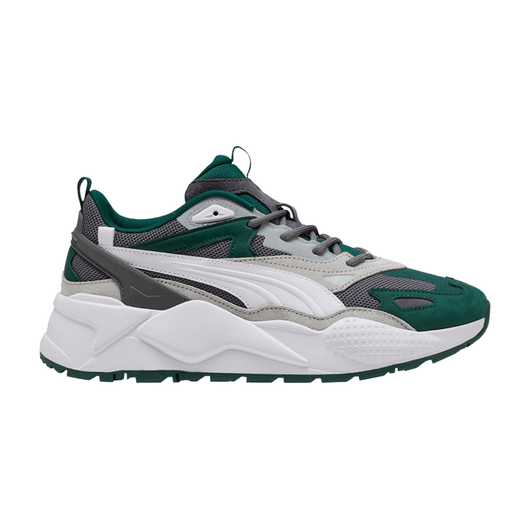 

Кроссовки RS-X Efekt Premium 'Slate Sky Dark Myrtle', зеленый