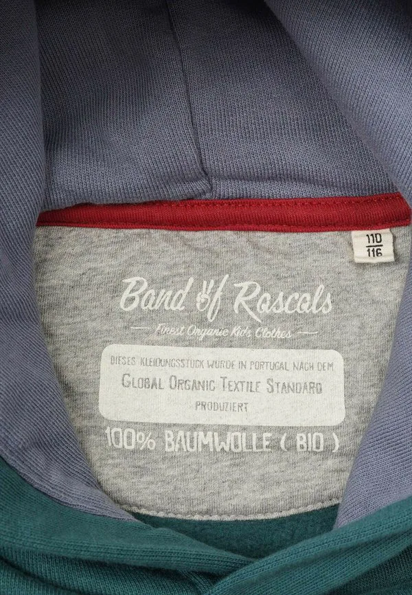 Толстовка с капюшоном в стиле 3c block Band Of Rascals, Racing Green/Dove Blue — фото 3