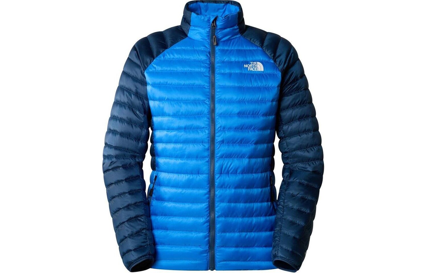 

Коллекция одежды Пуховик мужской Синий The North Face, синий